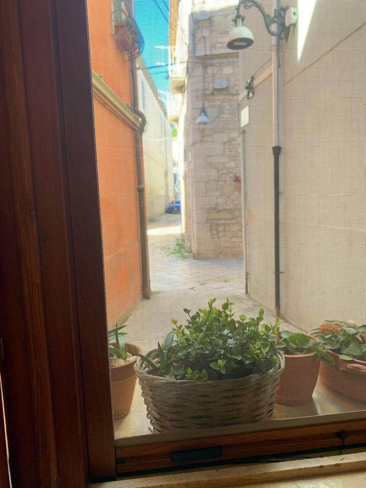 Da Minguccio Venosa Exterior foto